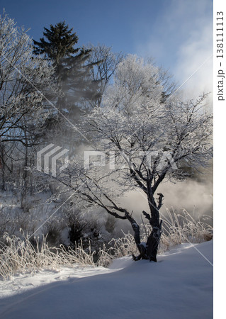川湯温泉の湯煙 138111113