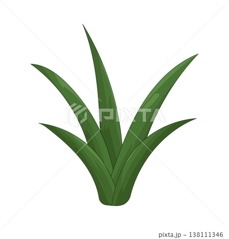Illustration of grass 138111346