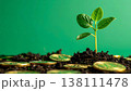 ESG投資と持続可能な成長を象徴する新芽と金貨(コピースペース) 138111478