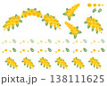 ミモザ 138111625