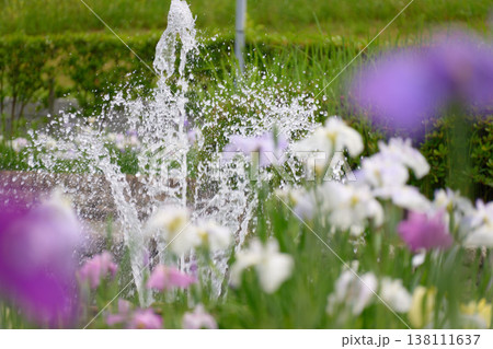 花畑と水しぶきが上がる噴水 花畑と水しぶきが上がる噴水 138111637