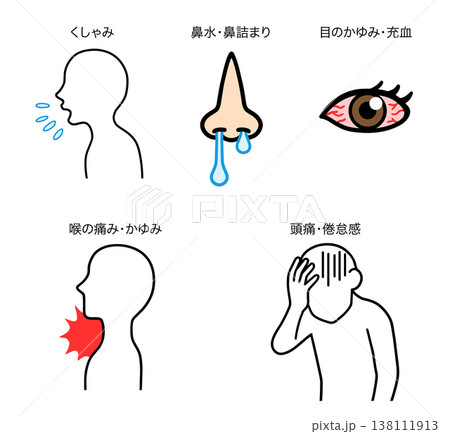 花粉症や風邪の主な症状まとめ：くしゃみ・鼻水・目のかゆみ・喉の痛みなどのインフォグラフィック 138111913