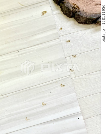 うんこを踏み潰したケヅメリクガメの足跡 138111956