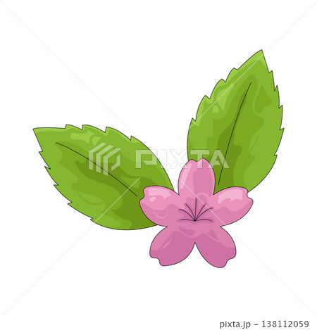 Illustration of flower and leaf Illustration of flower and leaf 138112059
