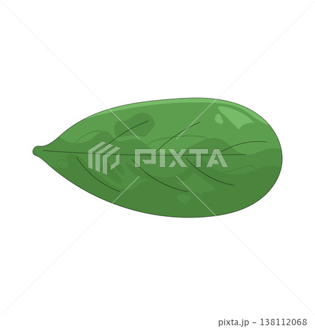 Illustration of leaf Illustration of leaf 138112068