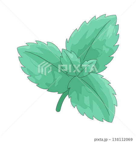 Illustration of mint leaf Illustration of mint leaf 138112069