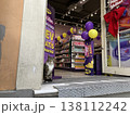 トルコ　イスタンブール　猫のいる風景 138112242