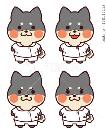 看護師服を着た黒色の柴犬/表情セット 138113118