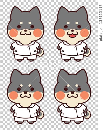 看護師服を着た黒色の柴犬/表情セット 138113118