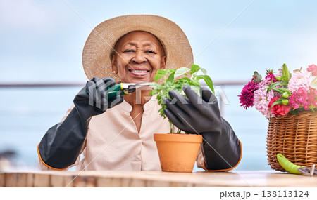 Agriculture, senior and black woman with plant in garden and happiness outdoor in nature for spring, flowers and growth. Smile, person and leaves in backyard of home for vegetable care or gardening 138113124