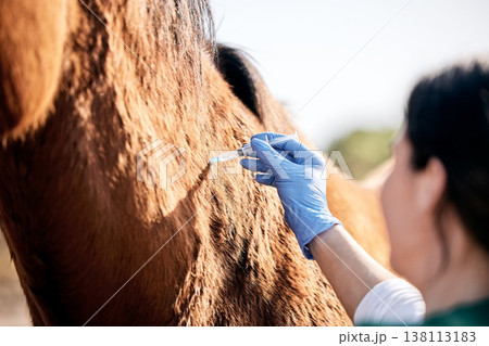 Vet, doctor and woman with injection for horse for medical examination, animal care and health check. Healthcare, needle and person on farm for inspection, wellness and veterinary treatment on ranch Vet, doctor and woman with injection for horse for medical examination, animal care and health check. Healthcare, needle and person on farm for inspection, wellness and veterinary treatment on ranch 138113183