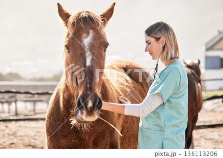 Horse doctor, stethoscope and listen at farm for health, care and inspection of animal in nature. Vet, nurse woman and equine healthcare expert in sunshine, countryside or help to check for wellness 138113206