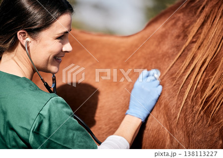 Vet, stethoscope and horse farm with wellness, healthcare and support with animal in countryside. Nurse, woman and helping with heart rate and monitoring outdoor with a smile and happy from nursing Vet, stethoscope and horse farm with wellness, healthcare and support with animal in countryside. Nurse, woman and helping with heart rate and monitoring outdoor with a smile and happy from nursing 138113227