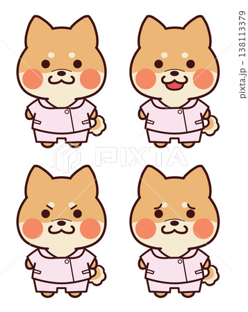 看護師服を着た茶色の柴犬/表情セット 138113379