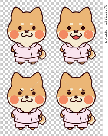 看護師服を着た茶色の柴犬/表情セット 138113379