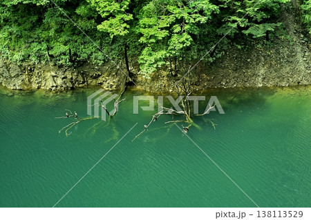 神奈川県相模原の宮ヶ瀬ダム下の石小屋湖 138113529