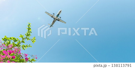 Airplane flying overhead against blue sky with tropical flowers and green leaves in foreground, travel and vacation concept with copy space Airplane flying overhead against blue sky with tropical flowers and green leaves in foreground, travel and vacation concept with copy space 138113791