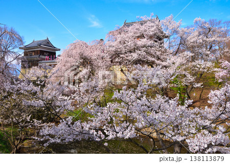 春 桜 上田城 南櫓 春 桜 上田城 南櫓 138113879