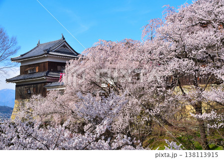 春　桜　上田城　南櫓 138113915