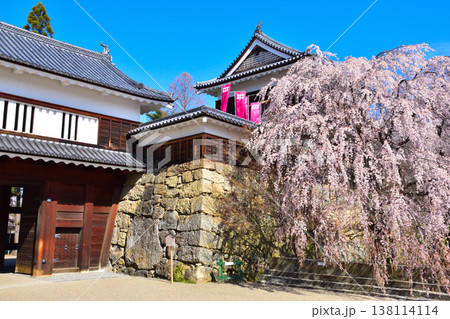 春 桜 上田城 北櫓 春 桜 上田城 北櫓 138114114