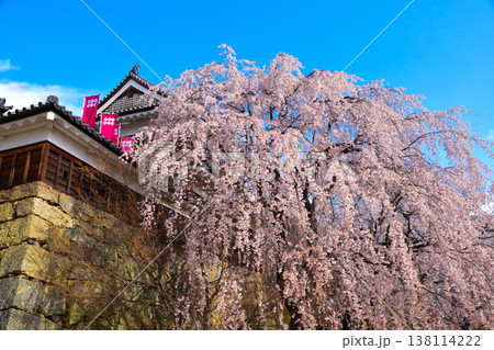 春　桜　上田城　北櫓 138114222