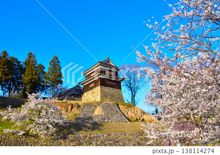 春　桜　上田城　南櫓　 138114274