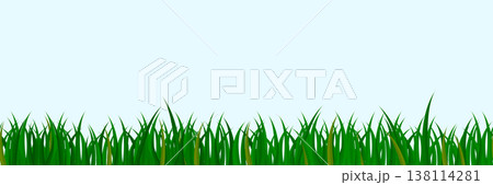 Cartoon green grass lawn seamless border pattern with lush blades and wild meadow vegetation in vector illustration for garden landscape background with natural turf texture Cartoon green grass lawn seamless border pattern with lush blades and wild meadow vegetation in vector illustration for garden landscape background with natural turf texture 138114281
