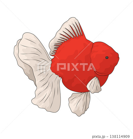 Illustration of goldfish 138114909
