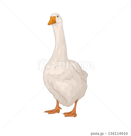 Illustration of white goose 138114910