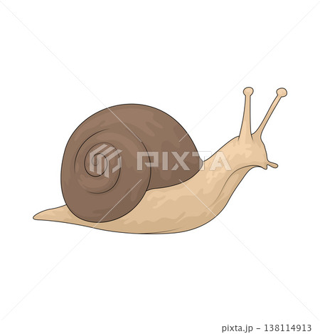 Illustration of Snail 138114913