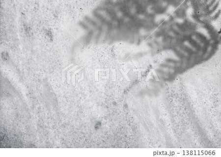A minimalist black and white photograph showing the soft, blurred shadow of a fern leaf cast upon a grainy, textured stone surface with natural light and elegant contrast 138115066