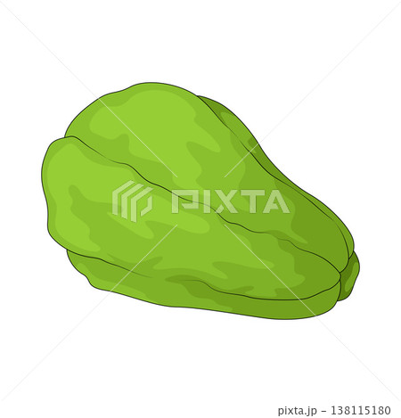 Illustration of chayote Illustration of chayote 138115180