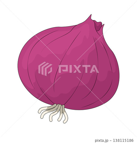 Illustration of onion 138115186