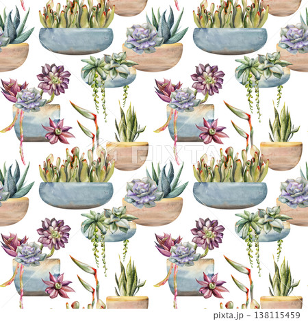 Potted succulents, strelitzia flowers, sansevieria rosettes, hanging vines, matching terracotta planters. Isolated illustration hand drawn in watercolor. Seamless pattern for modern interior visuals. Potted succulents, strelitzia flowers, sansevieria rosettes, hanging vines, matching terracotta planters. Isolated illustration hand drawn in watercolor. Seamless pattern for modern interior visuals. 138115459