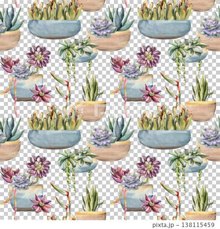Potted succulents, strelitzia flowers, sansevieria rosettes, hanging vines, matching terracotta planters. Isolated illustration hand drawn in watercolor. Seamless pattern for modern interior visuals. Potted succulents, strelitzia flowers, sansevieria rosettes, hanging vines, matching terracotta planters. Isolated illustration hand drawn in watercolor. Seamless pattern for modern interior visuals. 138115459