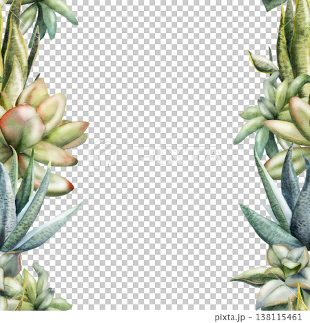 Watercolor echeveria rosette succulents, aloe vera, Sansevieria snake plant seamless banner. Hand drawn illustration for eco startup landing pages, natural skincare marketing, plant shop promotions. Watercolor echeveria rosette succulents, aloe vera, Sansevieria snake plant seamless banner. Hand drawn illustration for eco startup landing pages, natural skincare marketing, plant shop promotions. 138115461