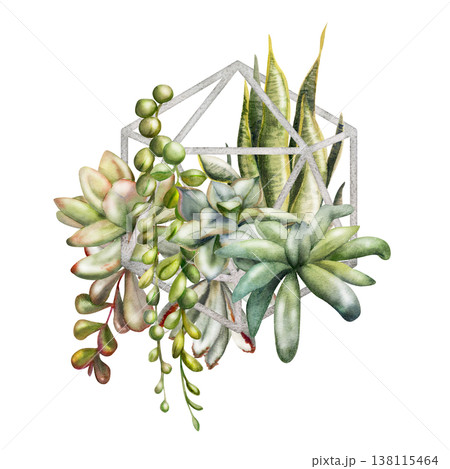 Watercolor green rosette succulents, trailing hanging curio vines in geometric metal holder. Isolated illustration hand drawn in watercolor. Fabric prints, digital planners, sustainable branding. 138115464