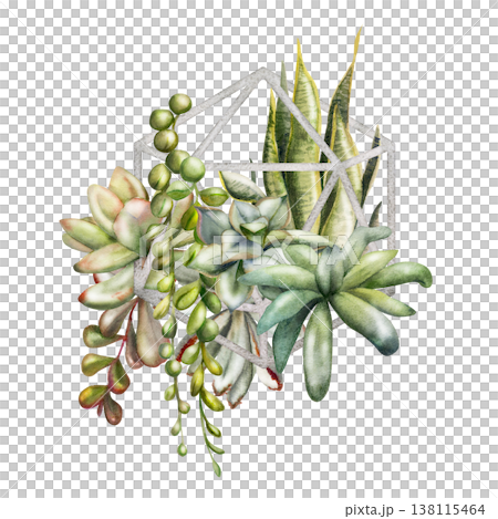 Watercolor green rosette succulents, trailing hanging curio vines in geometric metal holder. Isolated illustration hand drawn in watercolor. Fabric prints, digital planners, sustainable branding. 138115464