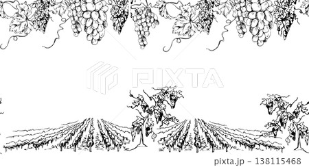 Vineyard vista landscape seamless banner with grapevine rows in perspective, closeup of hanging leafy ripe grape clusters. Hand drawn ink vector illustration. Rustic winery visuals, menus, wrapping 138115468
