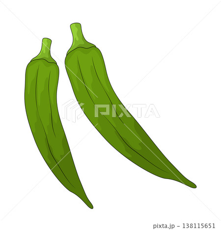 Illustration of okra Illustration of okra 138115651