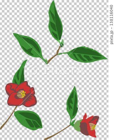 椿三輪のイラスト 椿三輪のイラスト 138116040
