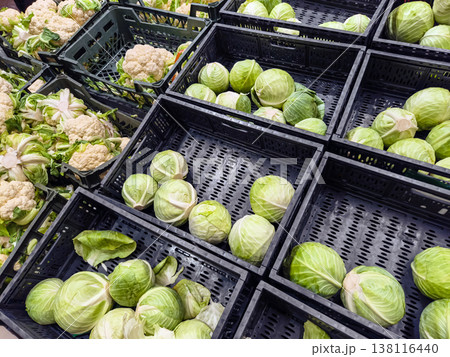 Cabbages and cauliflower gathered in crates in a grocery store during the day Cabbages and cauliflower gathered in crates in a grocery store during the day 138116440