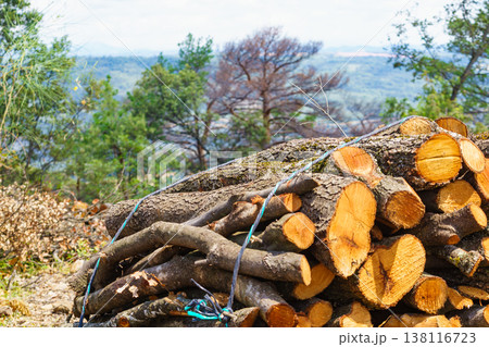 Log piles rest on a hillside beside a forest in a rural area during a sunny day with mountains in the background 138116723