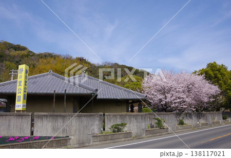 兵庫県淡路市 桜の時期の静の里公園 兵庫県淡路市 桜の時期の静の里公園 138117021