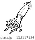 いかの線画イラスト 138117126
