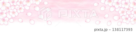 桜の花の背景素材_桜の花の帯ポップ_横長タイトル用背景素材_背景ピンク 桜の花の背景素材_桜の花の帯ポップ_横長タイトル用背景素材_背景ピンク 138117393