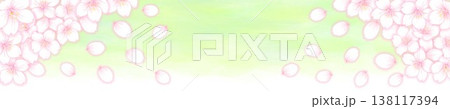 桜の花の背景素材_桜の花の帯ポップ_横長タイトル用背景素材_背景黄緑色 桜の花の背景素材_桜の花の帯ポップ_横長タイトル用背景素材_背景黄緑色 138117394