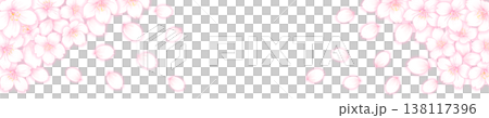 桜の花の背景素材_桜の花の帯ポップ_横長タイトル用背景素材 138117396
