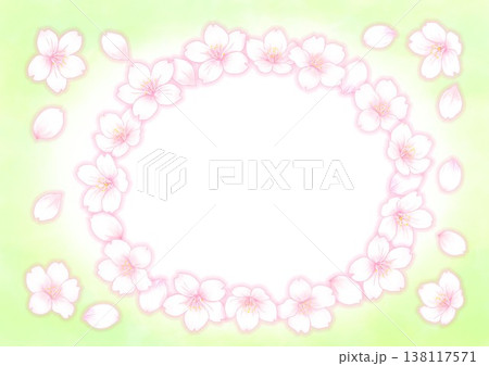 桜の花の素材_楕円_背景黄緑色 138117571