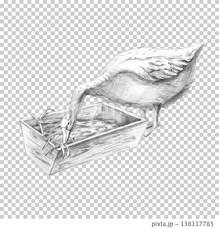 A realistic pencil drawing of a goose at a feeder. An isolated illustration for farms, grocery stores, restaurants, and any nature- or agriculture-themed spaces. 138117783